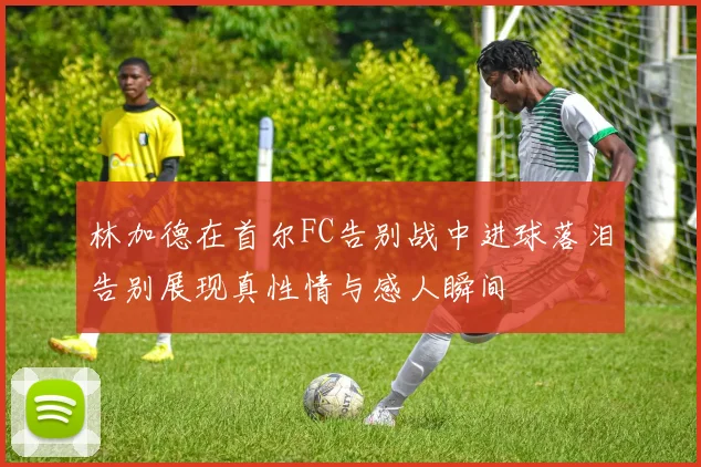 林加德在首尔FC告别战中进球落泪告别展现真性情与感人瞬间