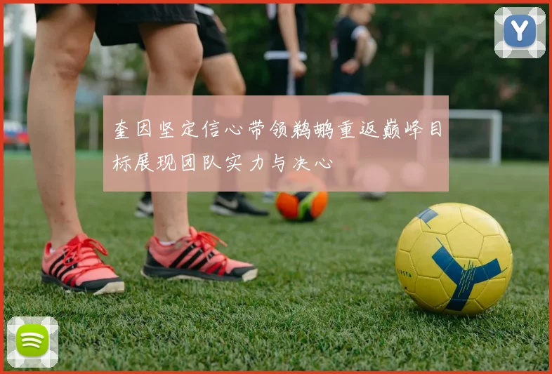 奎因坚定信心带领鹈鹕重返巅峰目标展现团队实力与决心