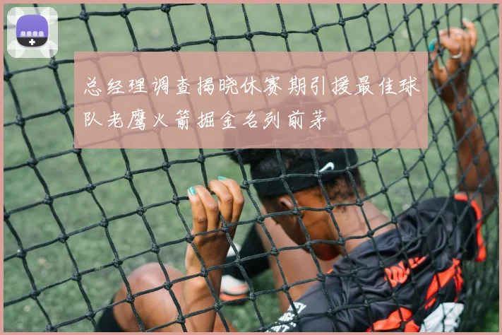 总经理调查揭晓休赛期引援最佳球队老鹰火箭掘金名列前茅