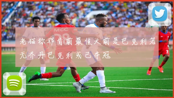 老猫称邓肯前最佳大前是巴克利若无乔丹巴克利或已夺冠