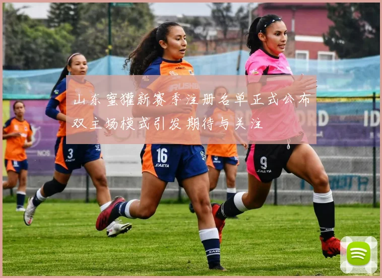 山东蜜獾新赛季注册名单正式公布双主场模式引发期待与关注