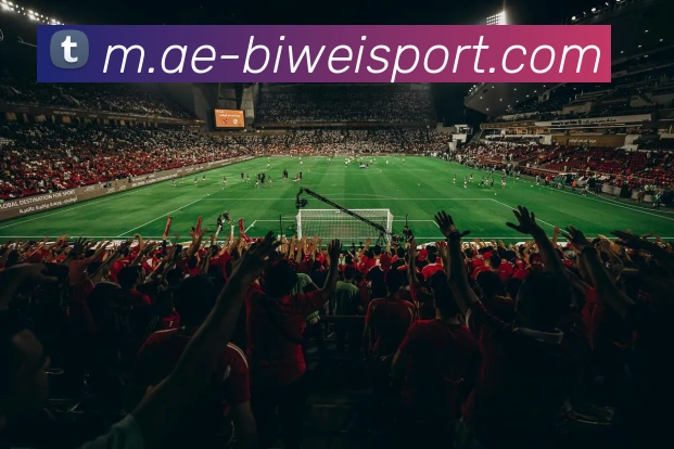 App Interface Preview