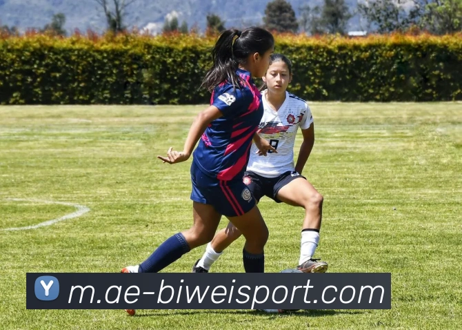 必威足球APP 封面图